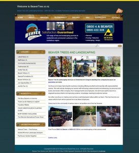 beaver_new_website