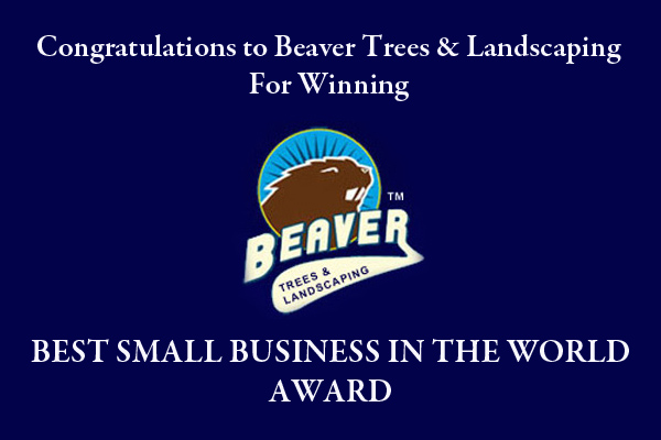Beaver Trees & Landscaping Won Best Small Company In The World Award