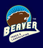 Beaver Tree and Landscaping Limited Testimonials for Ku Design Studio