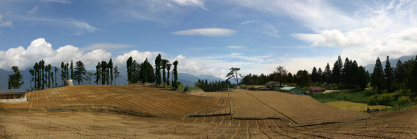 Farming at Li Shan Mountain Taiwan