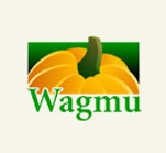 Logo Design for Wagmu